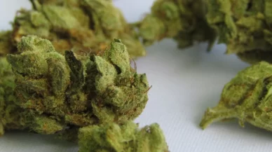 Understanding Marijuana Transportation Laws in Indiana