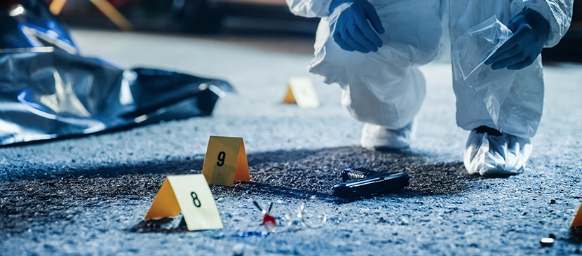 Valparaiso Violent Crime Lawyer-image